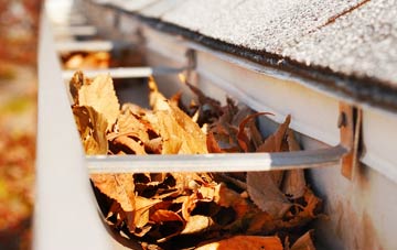 Mount Lane gutter cleaning companies