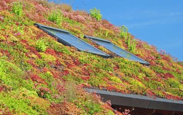 Mount Lane living roof systems