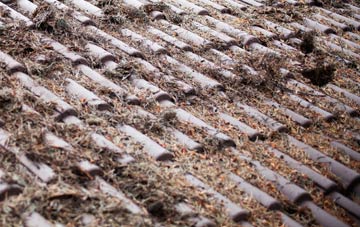 Mount Lane roof cleaning companies